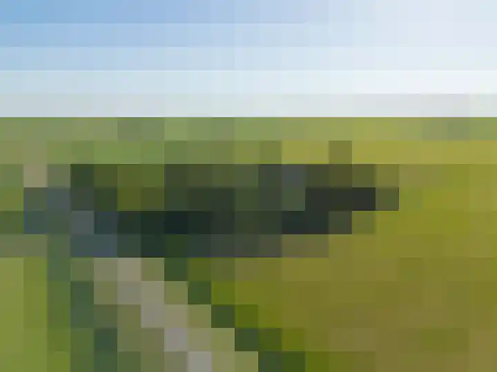 Sopsum 6 Achlum thumbnail 88
