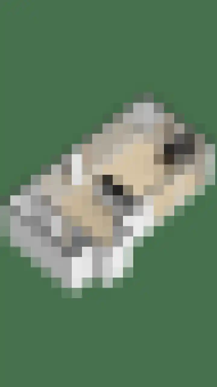 Sopsum 6 Achlum thumbnail 97