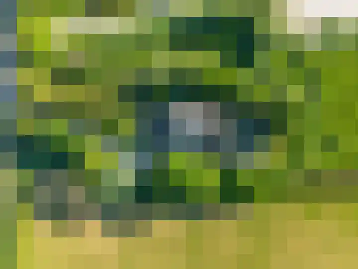 Sopsum 6 Achlum thumbnail 99
