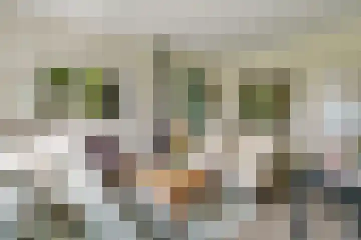 Sorghvlietweg 10 Zwolle thumbnail 10