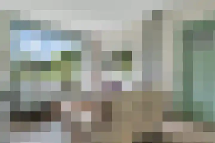 Sorghvlietweg 10 Zwolle thumbnail 11