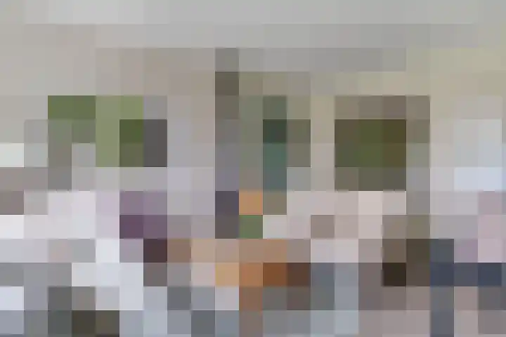 Sorghvlietweg 10 Zwolle thumbnail 12
