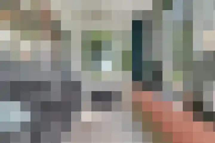 Sorghvlietweg 10 Zwolle thumbnail 14