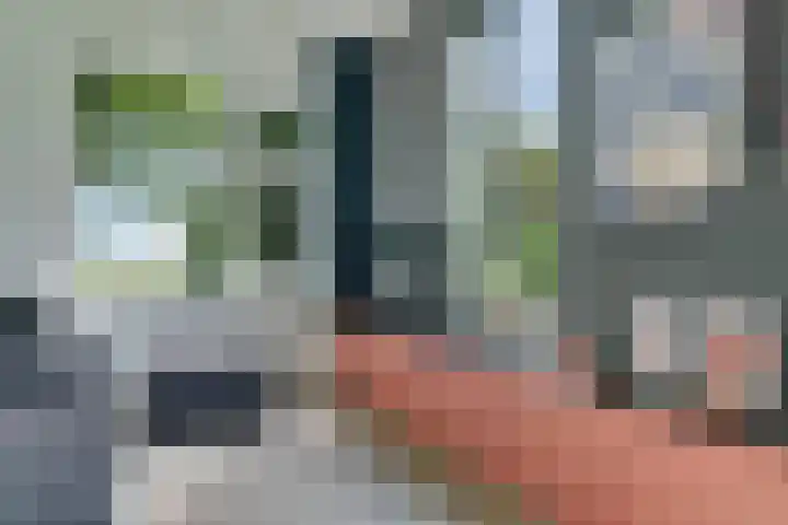 Sorghvlietweg 10 Zwolle thumbnail 15