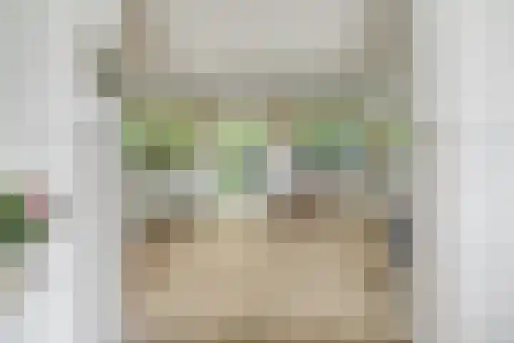 Sorghvlietweg 10 Zwolle thumbnail 17