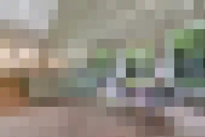 Sorghvlietweg 10 Zwolle thumbnail 18