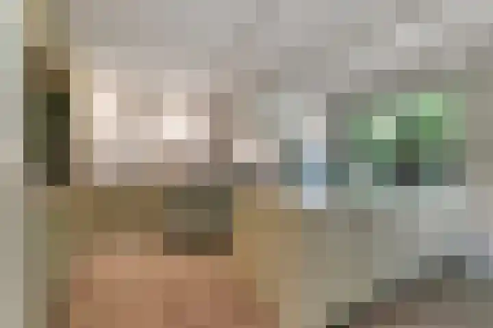 Sorghvlietweg 10 Zwolle thumbnail 20