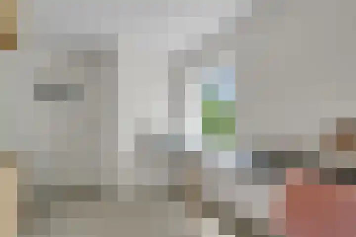 Sorghvlietweg 10 Zwolle thumbnail 29