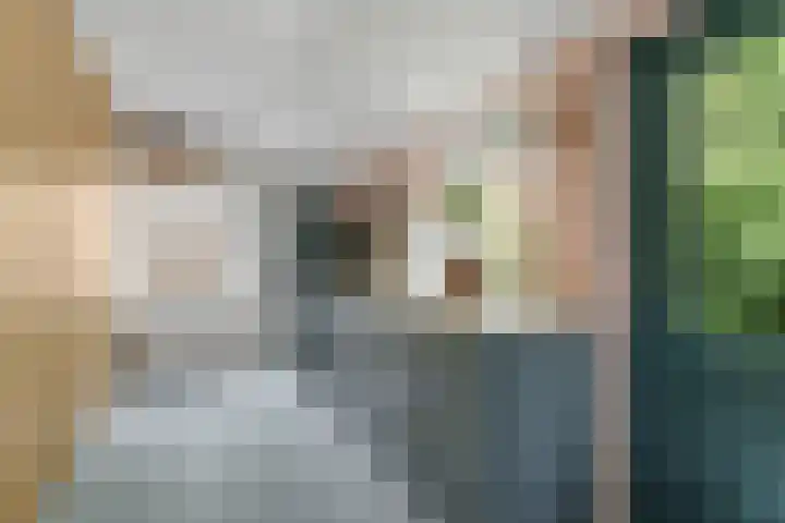 Sorghvlietweg 10 Zwolle thumbnail 31