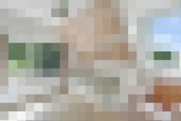 Sorghvlietweg 10 Zwolle thumbnail 33