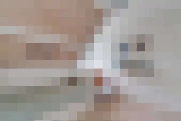 Sorghvlietweg 10 Zwolle thumbnail 34