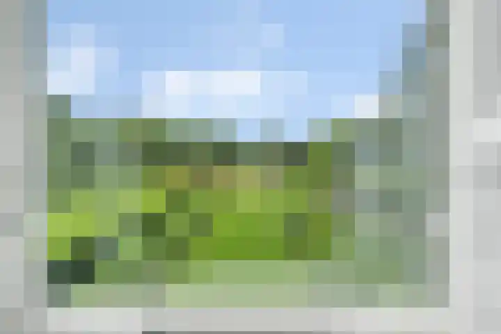 Sorghvlietweg 10 Zwolle thumbnail 35