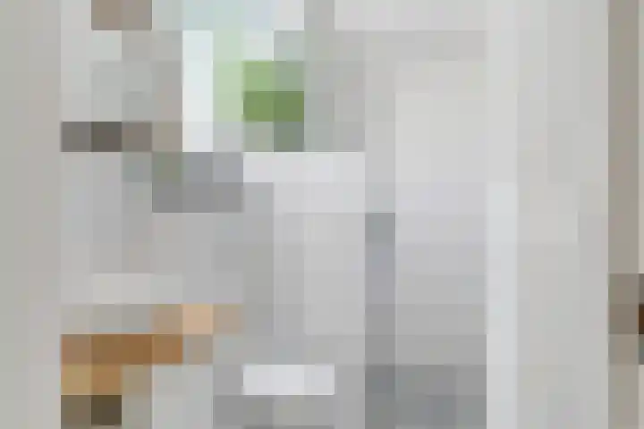 Sorghvlietweg 10 Zwolle thumbnail 36