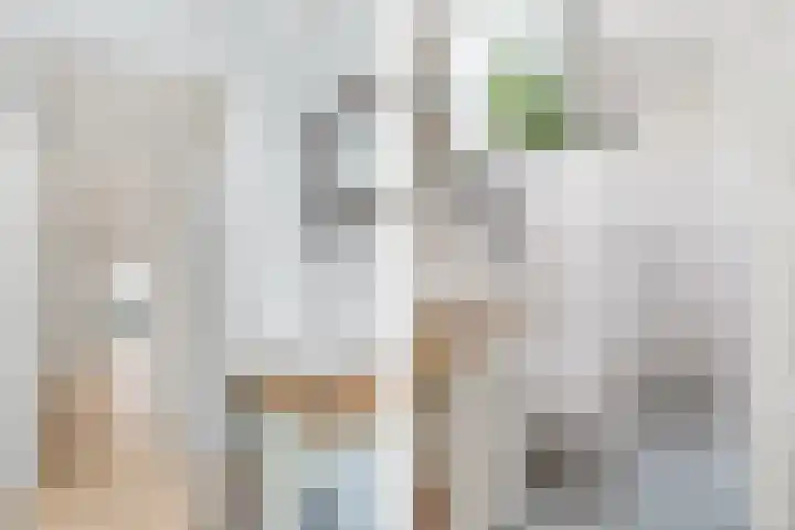 Sorghvlietweg 10 Zwolle thumbnail 37
