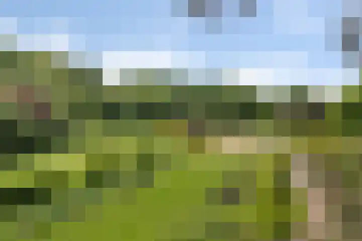 Sorghvlietweg 10 Zwolle thumbnail 4