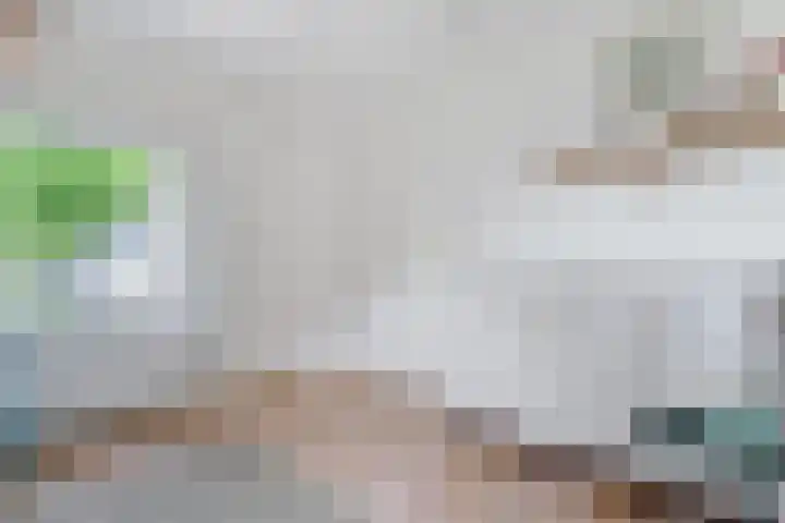 Sorghvlietweg 10 Zwolle thumbnail 40