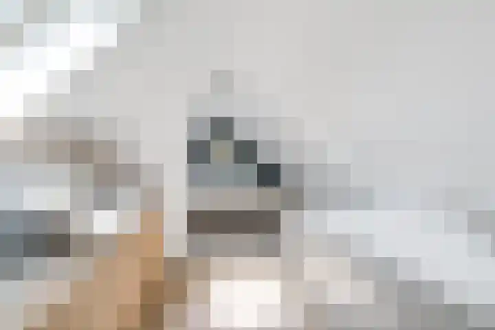 Sorghvlietweg 10 Zwolle thumbnail 41
