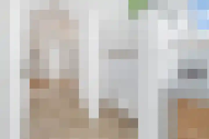 Sorghvlietweg 10 Zwolle thumbnail 43