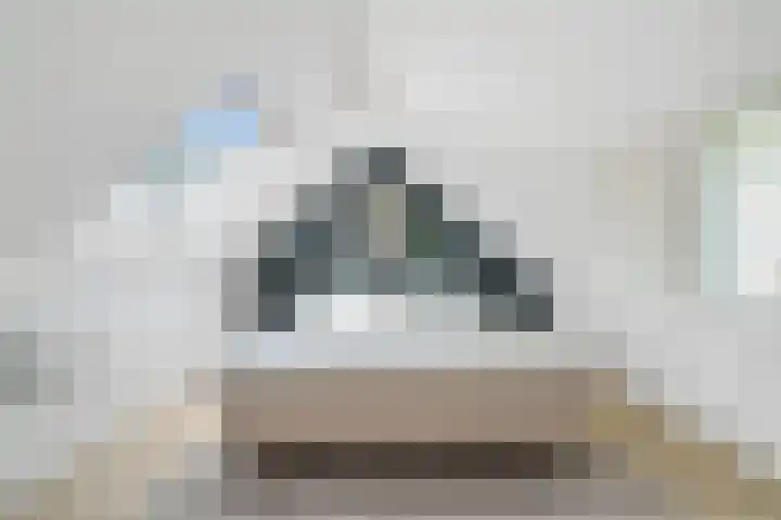 Sorghvlietweg 10 Zwolle thumbnail 44