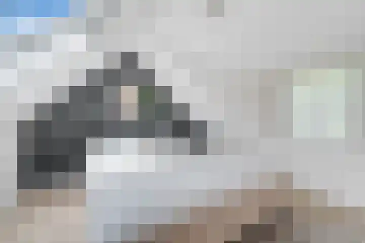 Sorghvlietweg 10 Zwolle thumbnail 45