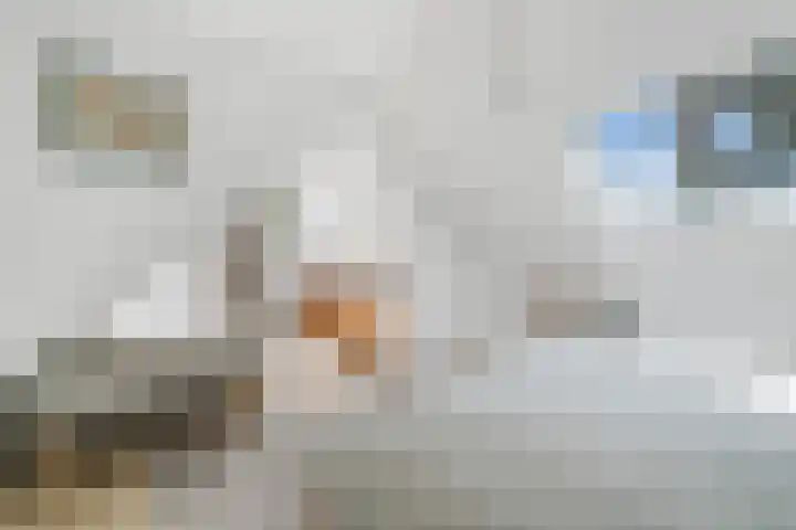 Sorghvlietweg 10 Zwolle thumbnail 46