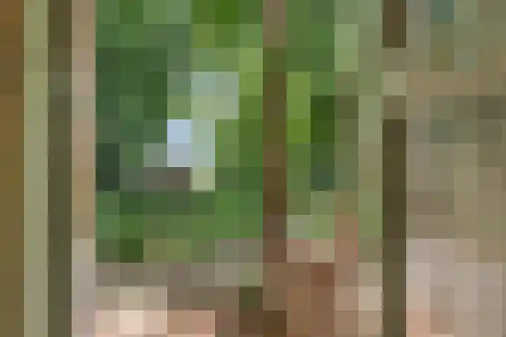 Sorghvlietweg 10 Zwolle thumbnail 47