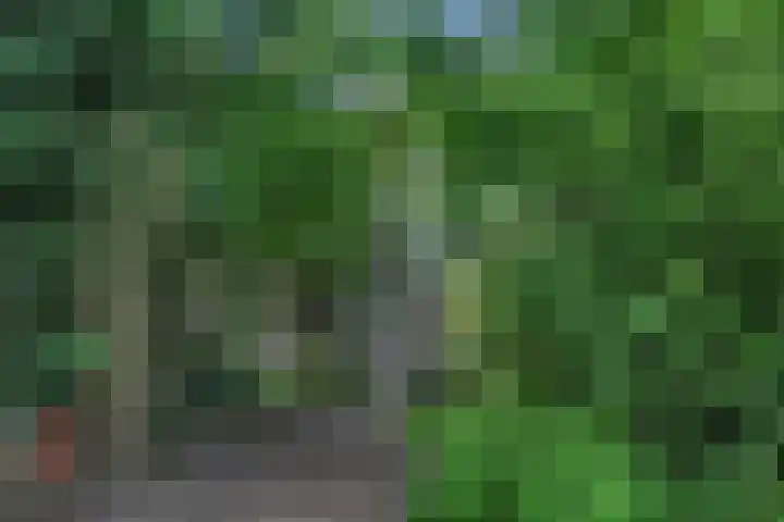 Sorghvlietweg 10 Zwolle thumbnail 48