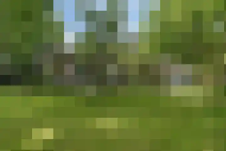 Sorghvlietweg 10 Zwolle thumbnail 49