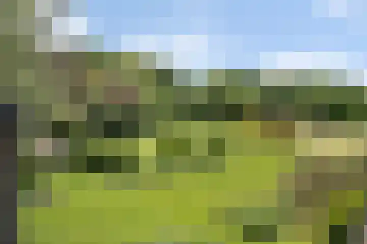Sorghvlietweg 10 Zwolle thumbnail 5