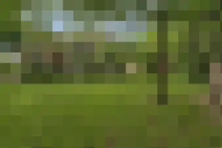 Sorghvlietweg 10 Zwolle thumbnail 50