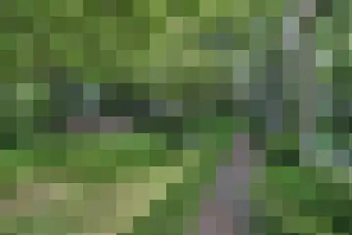 Sorghvlietweg 10 Zwolle thumbnail 51