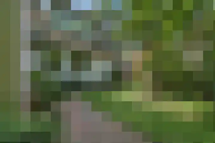 Sorghvlietweg 10 Zwolle thumbnail 52