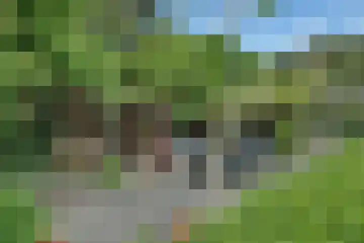 Sorghvlietweg 10 Zwolle thumbnail 53