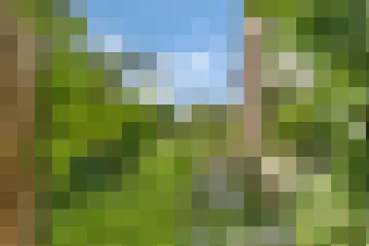 Sorghvlietweg 10 Zwolle thumbnail 54