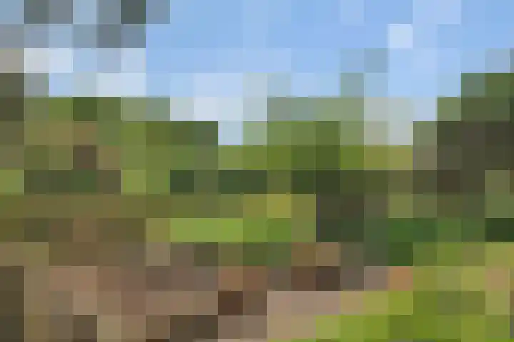 Sorghvlietweg 10 Zwolle thumbnail 55