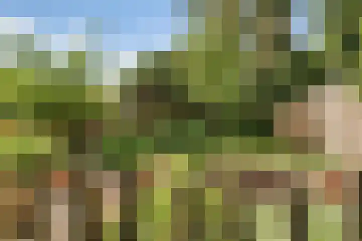 Sorghvlietweg 10 Zwolle thumbnail 56