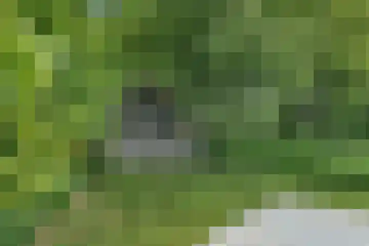 Sorghvlietweg 10 Zwolle thumbnail 57