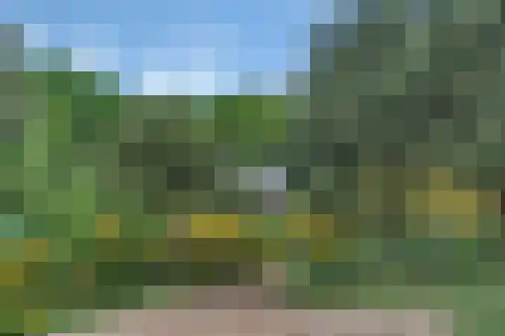 Sorghvlietweg 10 Zwolle thumbnail 58