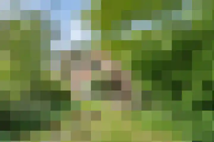 Sorghvlietweg 10 Zwolle thumbnail 6