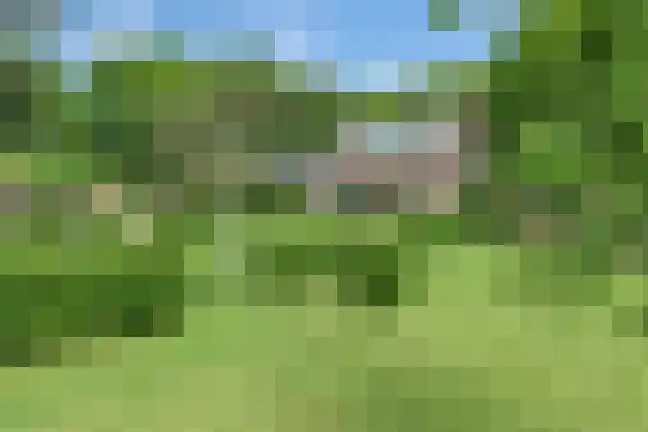 Sorghvlietweg 10 Zwolle thumbnail 60