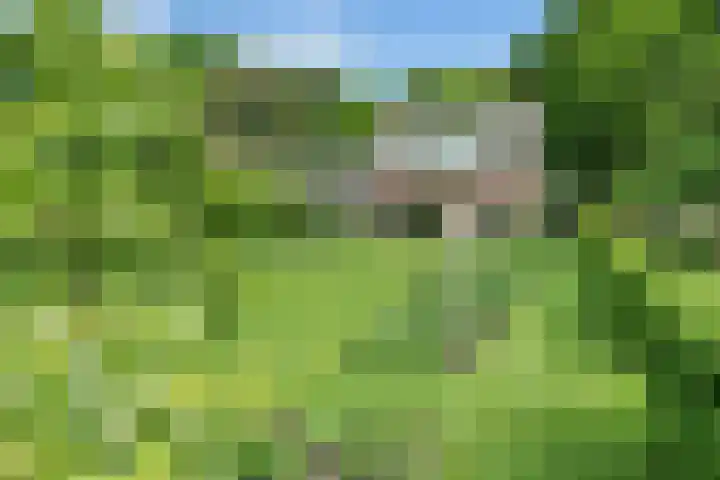 Sorghvlietweg 10 Zwolle thumbnail 61