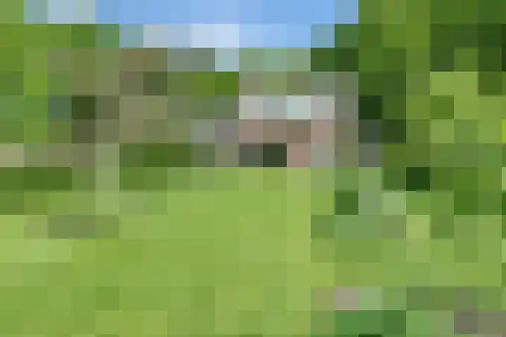 Sorghvlietweg 10 Zwolle thumbnail 62