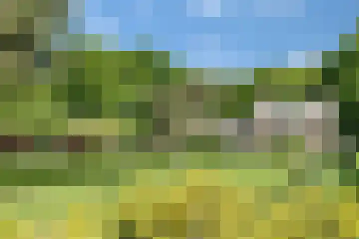 Sorghvlietweg 10 Zwolle thumbnail 63