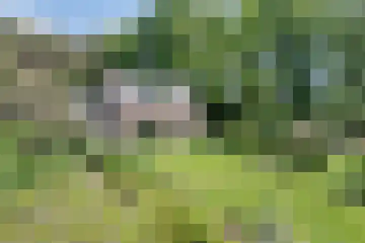 Sorghvlietweg 10 Zwolle thumbnail 64