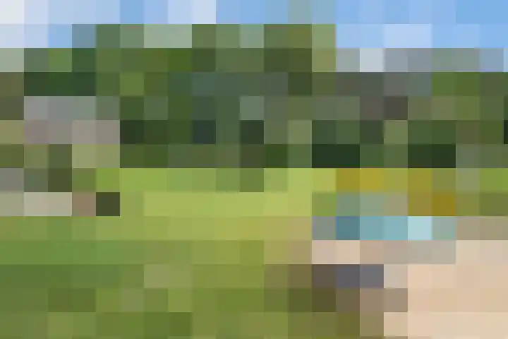 Sorghvlietweg 10 Zwolle thumbnail 65