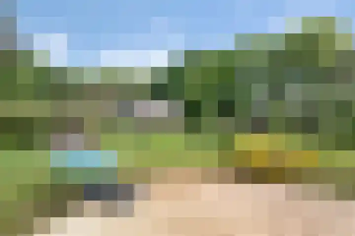 Sorghvlietweg 10 Zwolle thumbnail 66