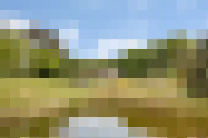 Sorghvlietweg 10 Zwolle thumbnail 67