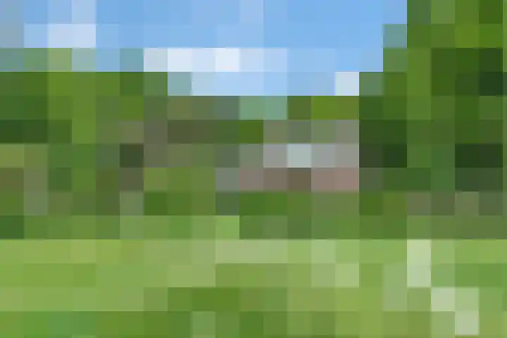 Sorghvlietweg 10 Zwolle thumbnail 68
