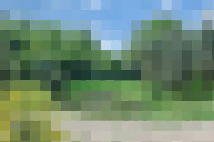 Sorghvlietweg 10 Zwolle thumbnail 69