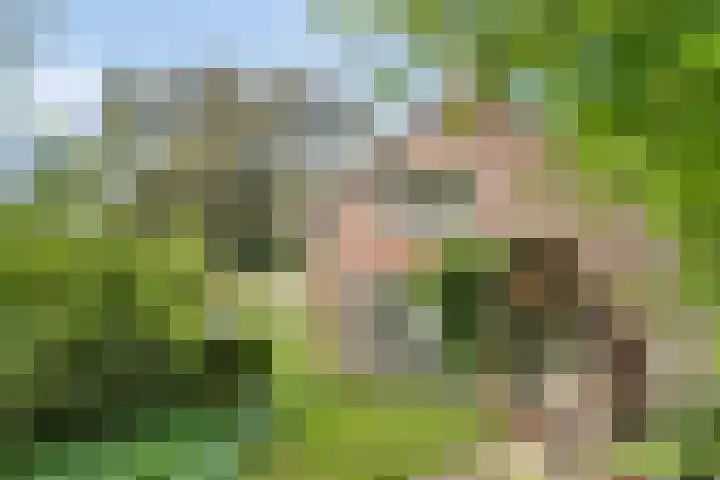 Sorghvlietweg 10 Zwolle thumbnail 7
